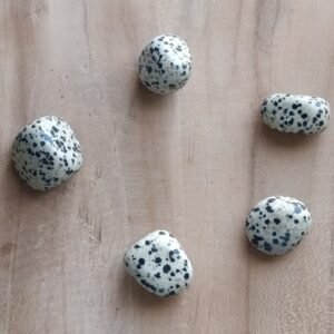 Jaspe dalmatien pierre roulée